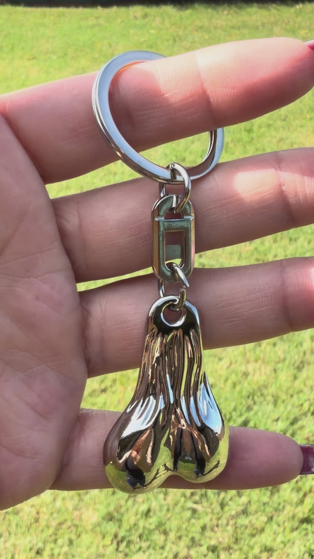 Funny Novelty Metal Keychain – Silver Lucky Charm Key Ring | Gag Gift
