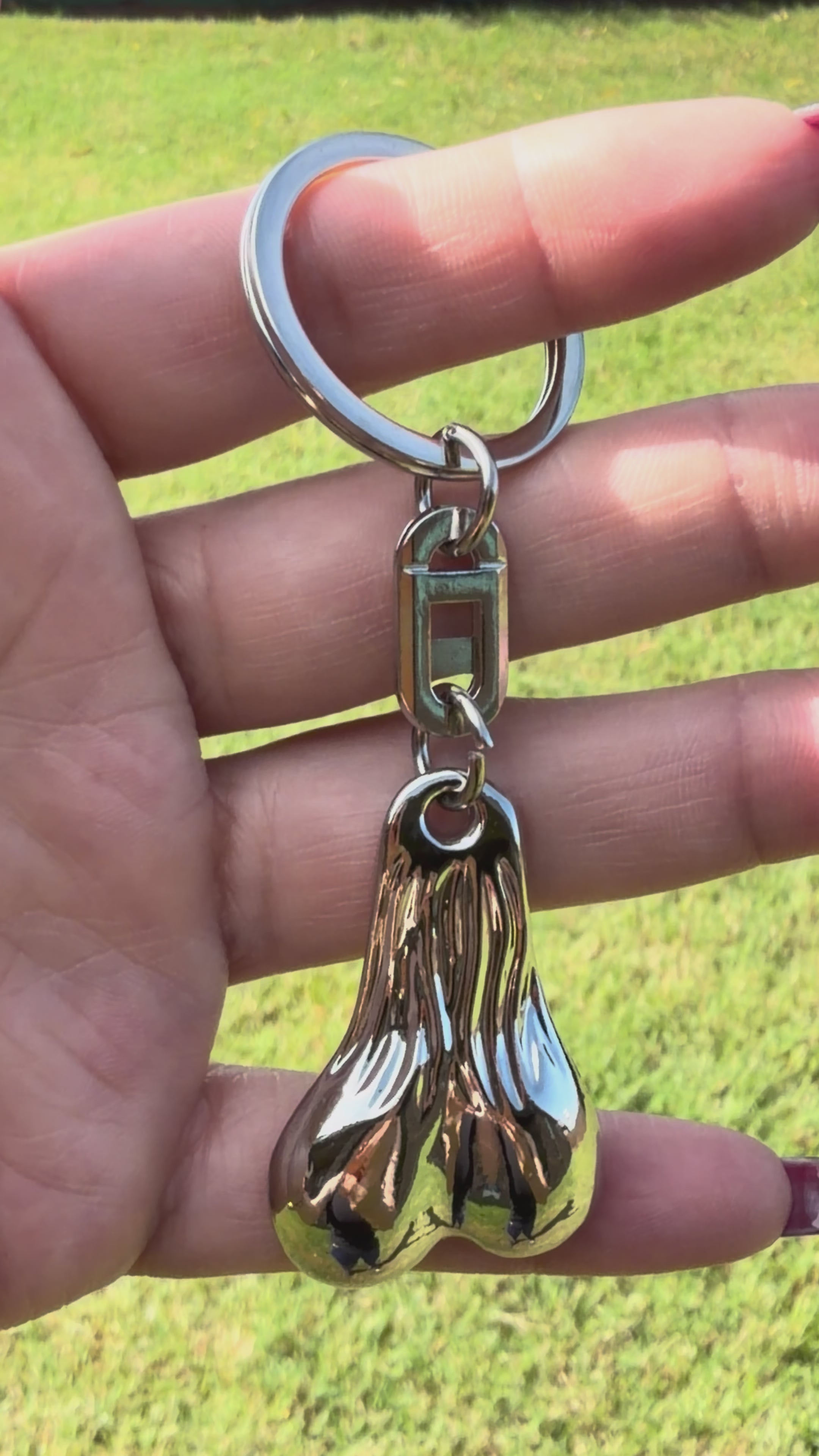 Funny Novelty Metal Keychain – Silver Lucky Charm Key Ring | Gag Gift
